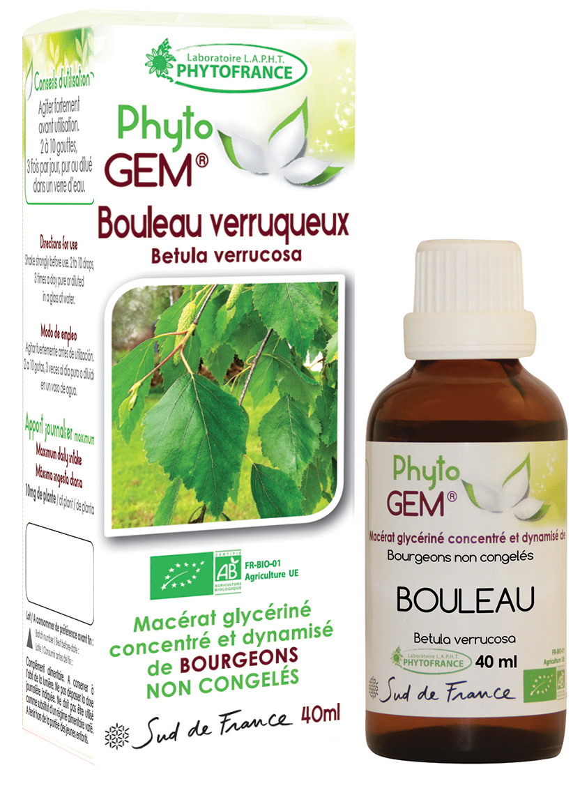 Phytogem Bouleau Verruqueux