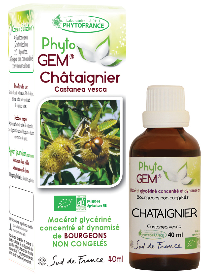 Phytogem Châtaignier