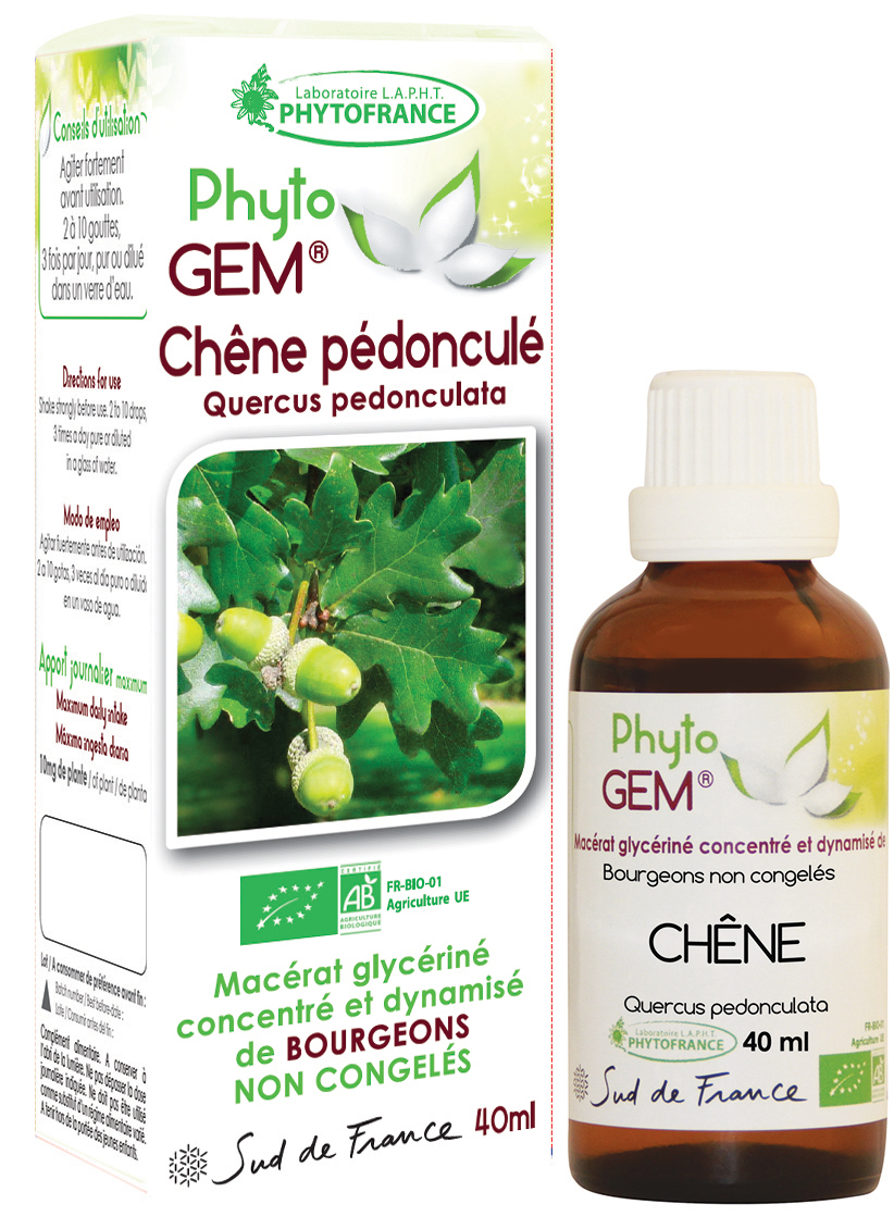 Phytogem Chêne