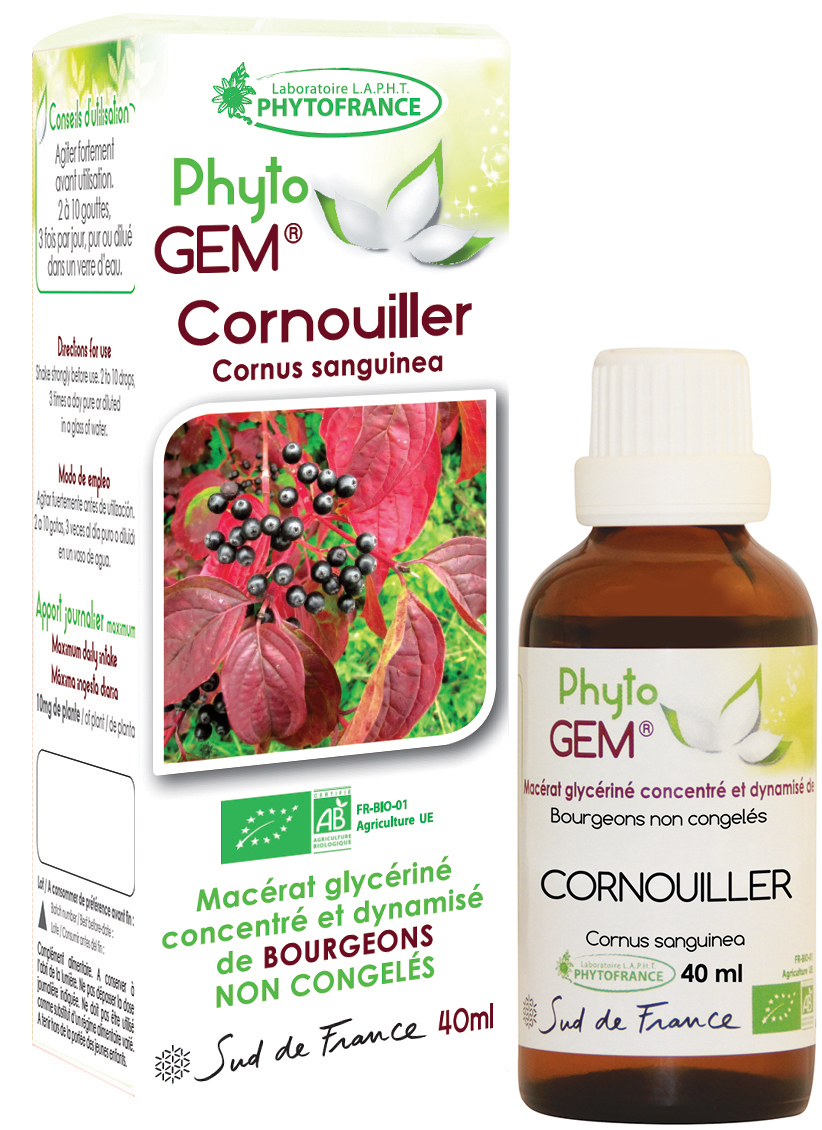 Phytogem Cornouiller