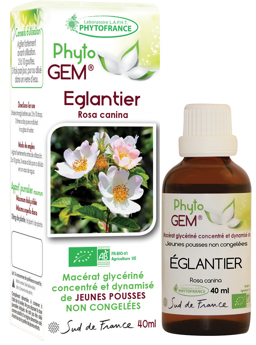 Phytogem Eglantier