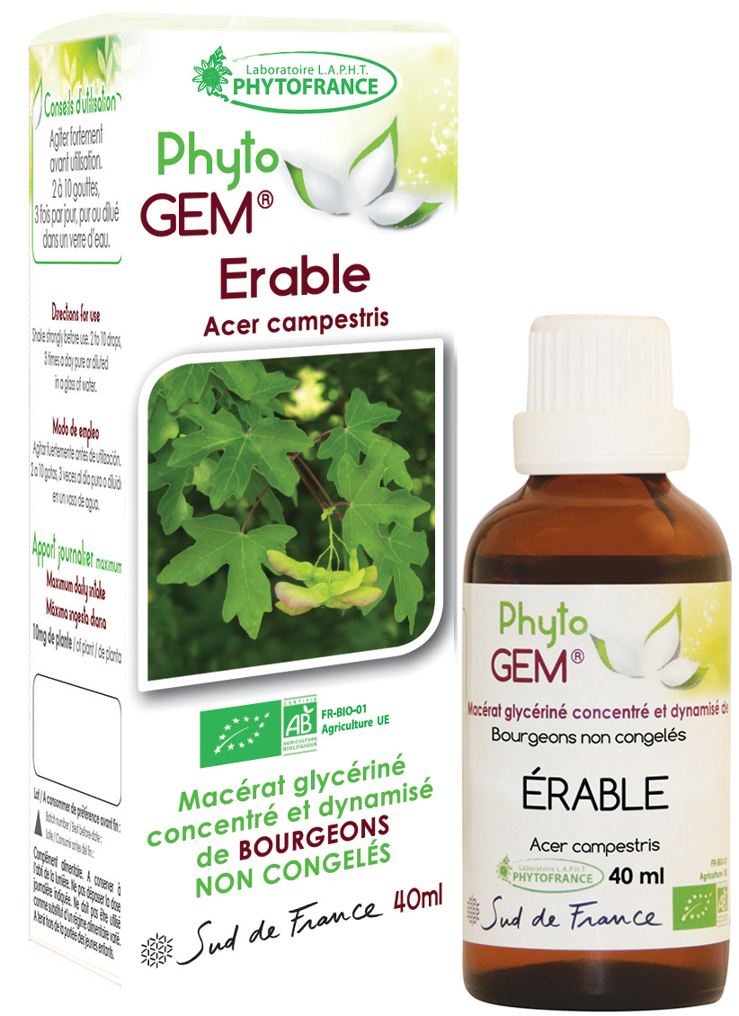 Phytogem Erable Champêtre