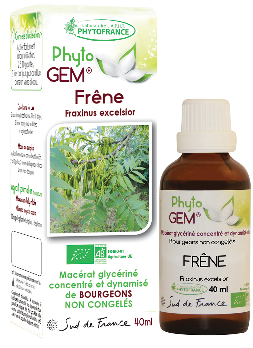 Phytogem Frêne