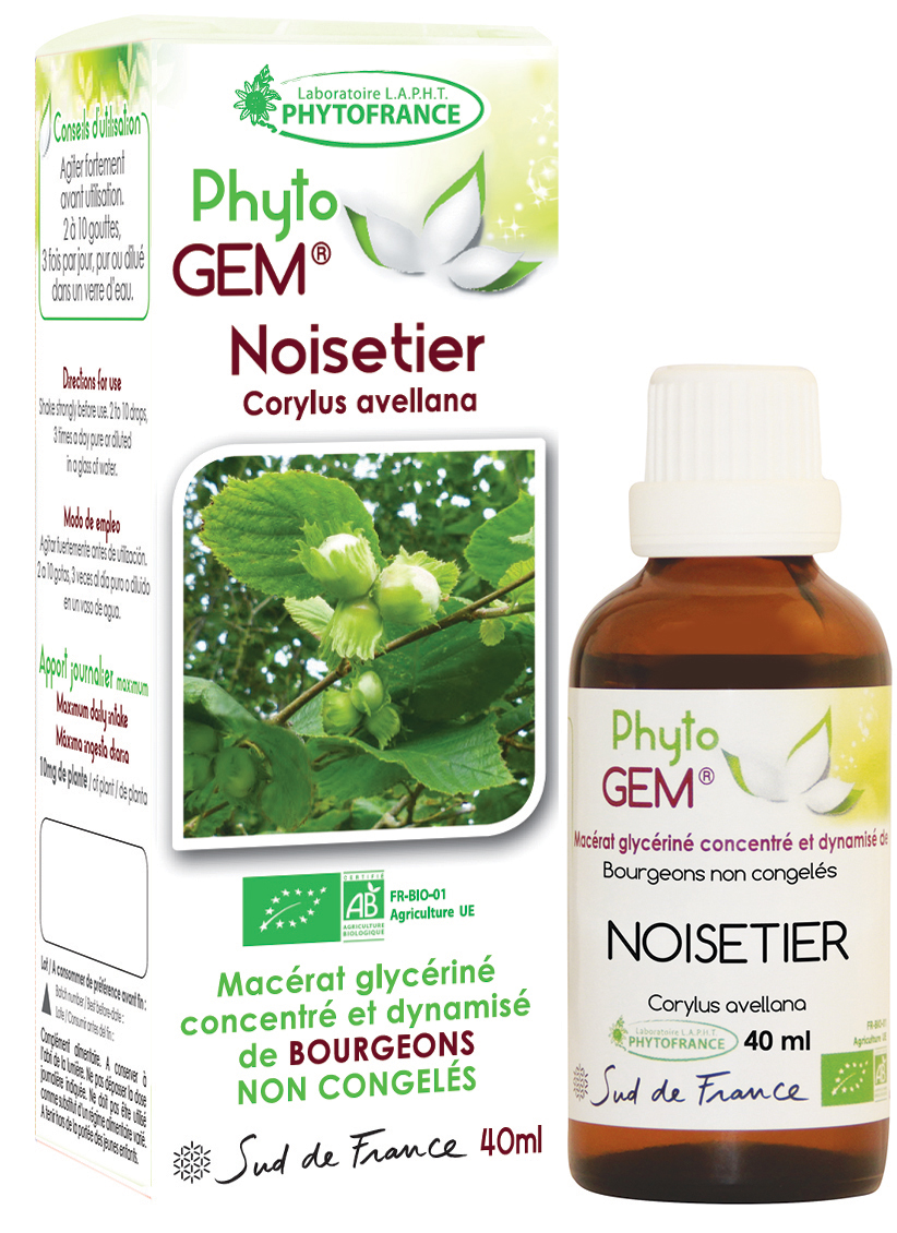 Phytogem Noisetier