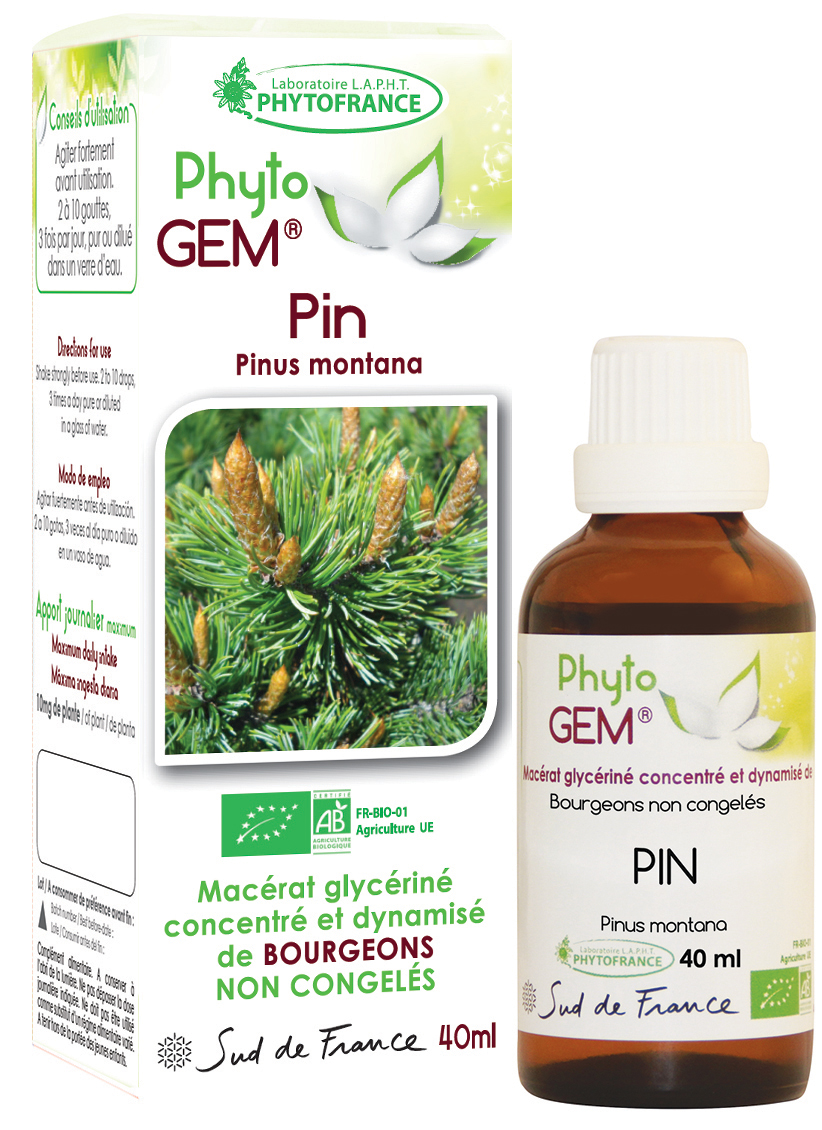 Phytogem Pin des Montagnes
