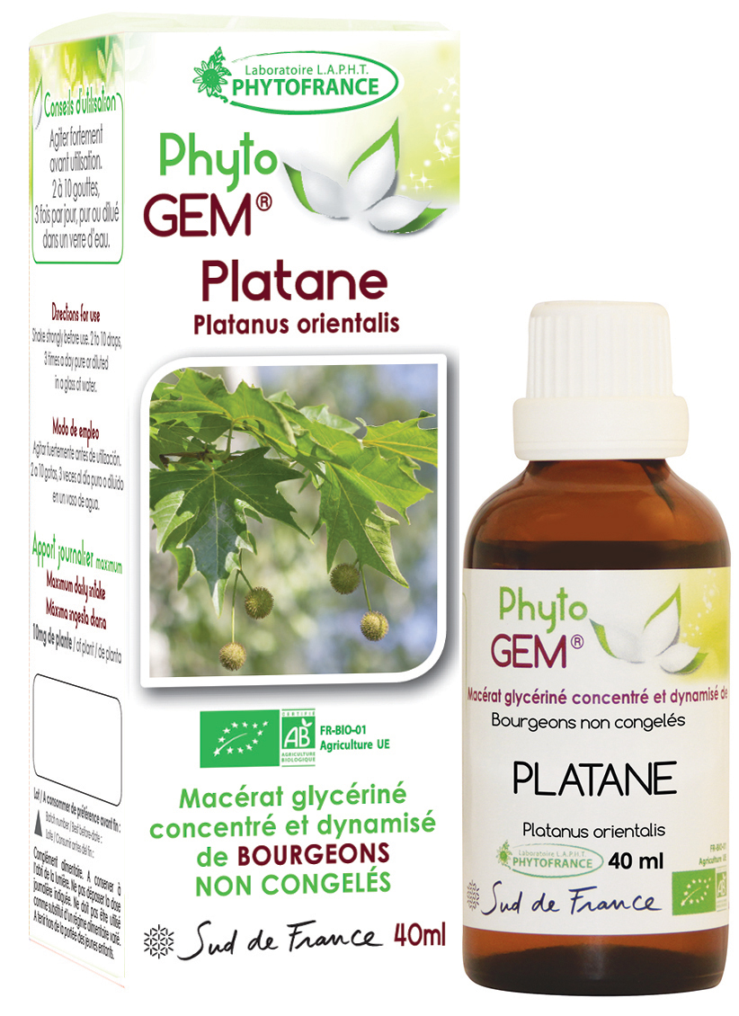 Phytogem Platane