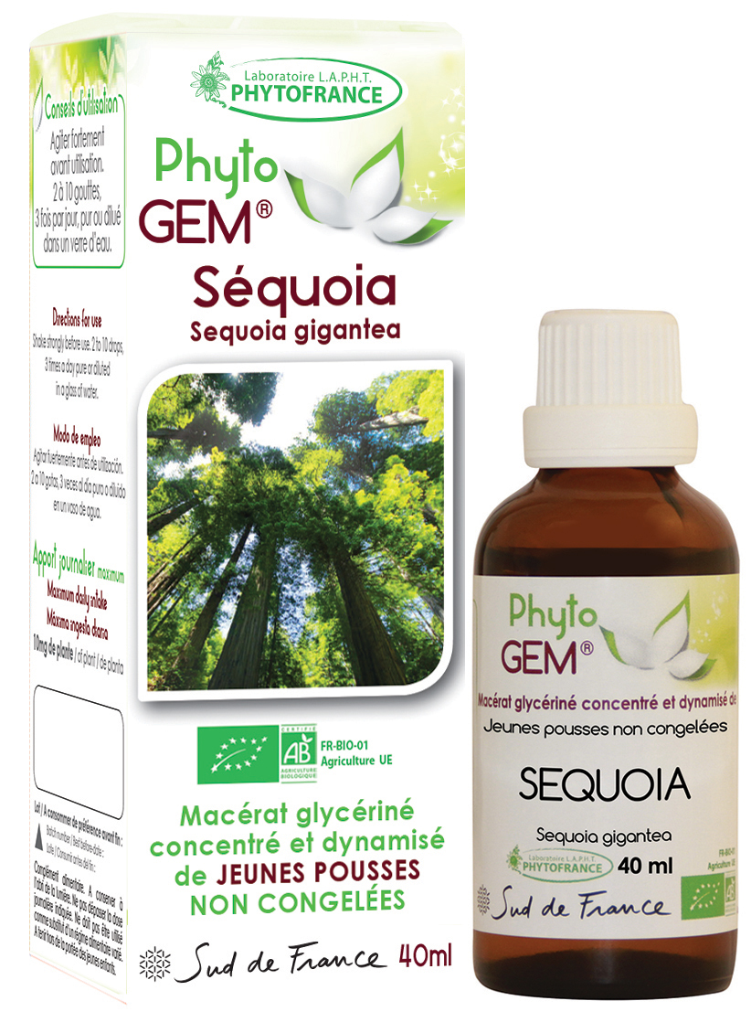Phytogem Sequoia