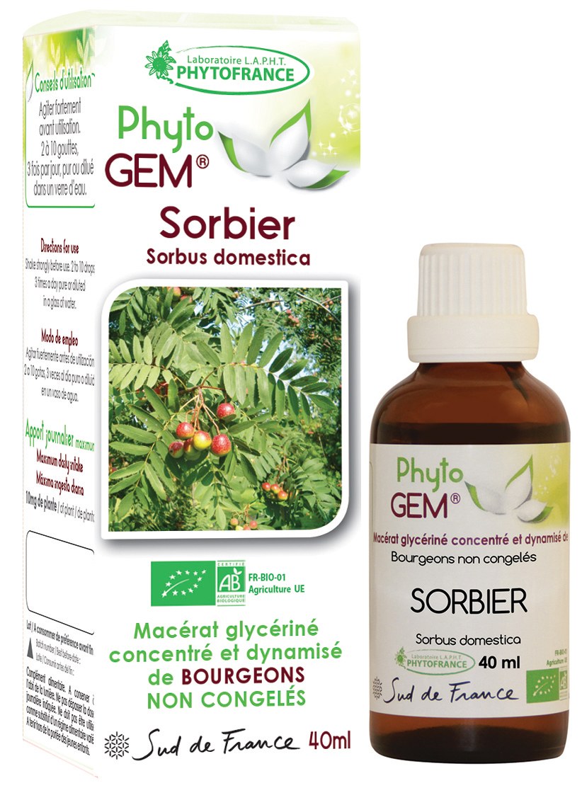 Phytogem Sorbier